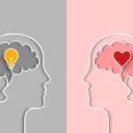 Emotional Intelligence